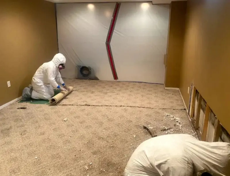 Dr. Restorations LLC project photo 19